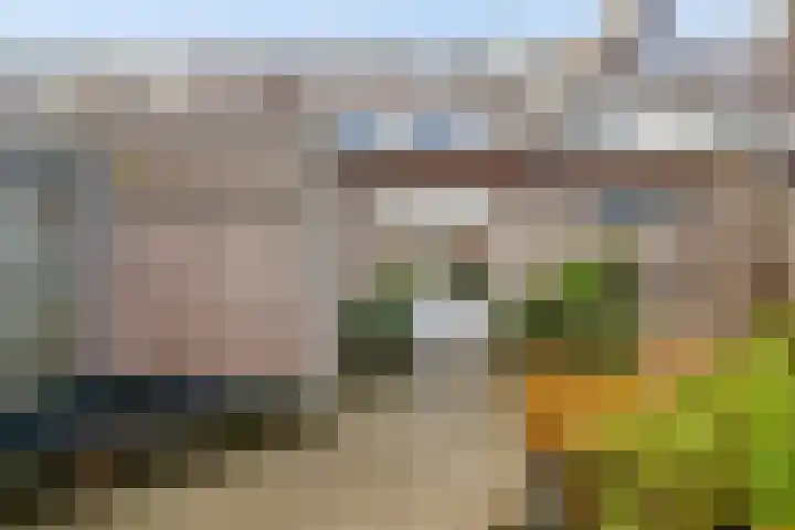 Schokker 32 Zeewolde thumbnail 33