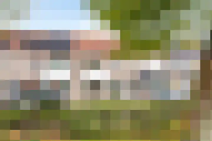 Schokker 32 Zeewolde thumbnail 4