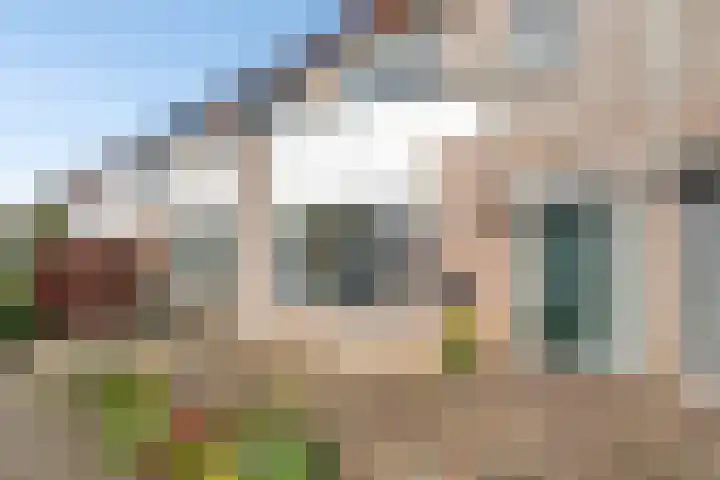 Schokker 32 Zeewolde thumbnail 5