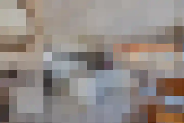 Schokkerhaven 28 Nagele thumbnail 17