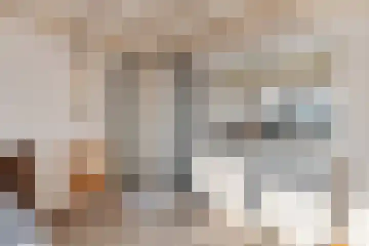 Schokkerhaven 28 Nagele thumbnail 26