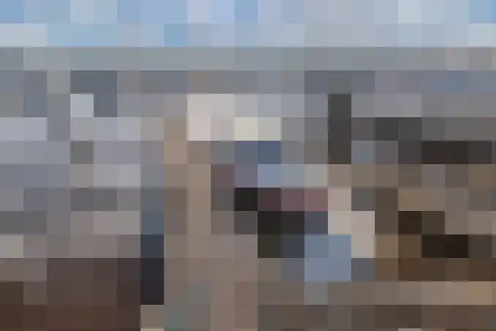 Schokkerhaven 28 Nagele thumbnail 37