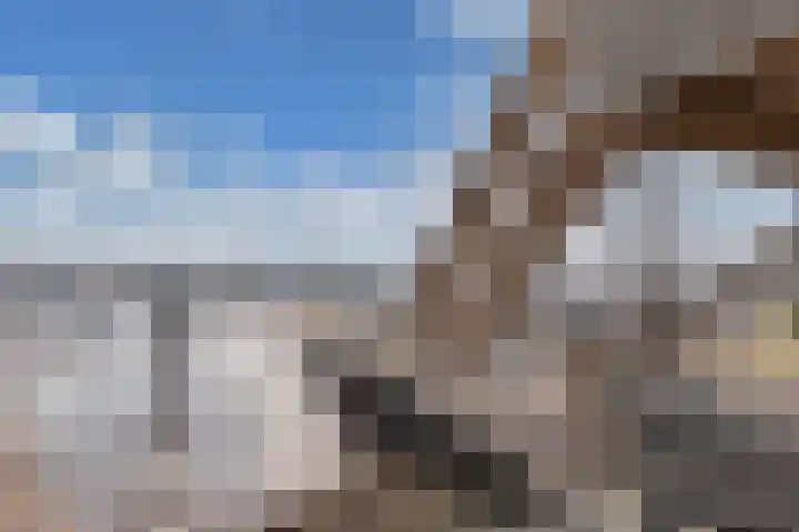 Schokkerhaven 28 Nagele thumbnail 39