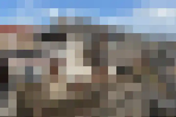 Schokkerhaven 28 Nagele thumbnail 42