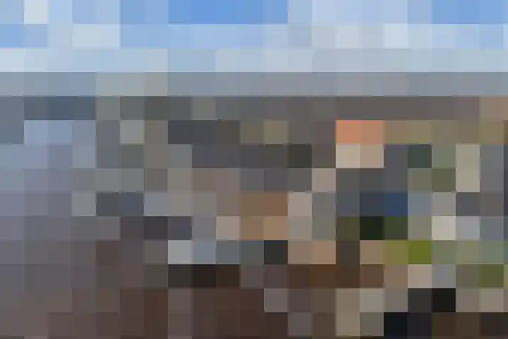Schokkerhaven 28 Nagele thumbnail 49