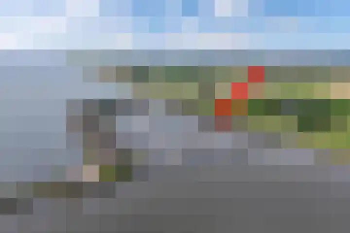 Schokkerhaven 28 Nagele thumbnail 51