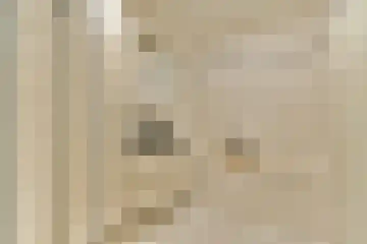 Schokkerspad 37 Amsterdam thumbnail 19