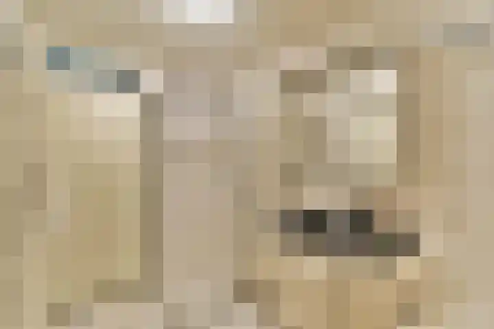 Schokkerspad 37 Amsterdam thumbnail 20