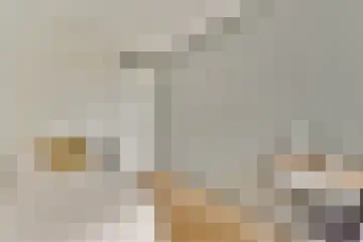 Schokkerspad 37 Amsterdam thumbnail 23