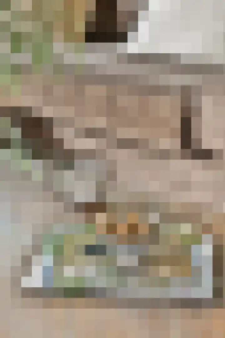 Schokkerspad 37 Amsterdam thumbnail 8