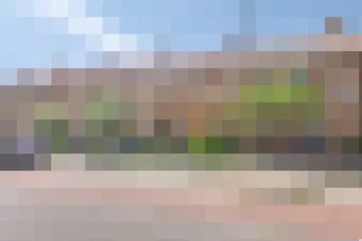 Schokkerwal 3 Emmeloord