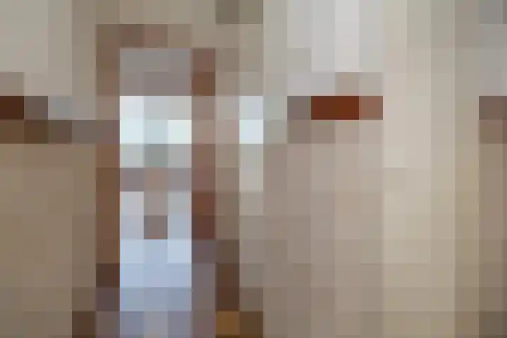 Scholekster 28 Eemnes thumbnail 14