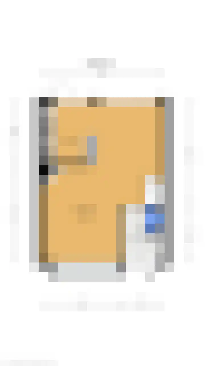 Scholekster 28 Eemnes thumbnail 15