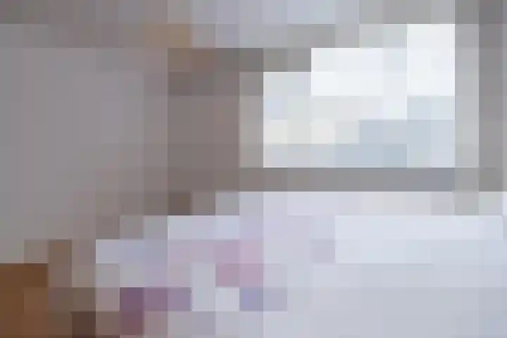 Scholekster 28 Eemnes thumbnail 18