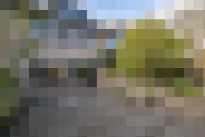 Scholekster 28 Eemnes thumbnail 35