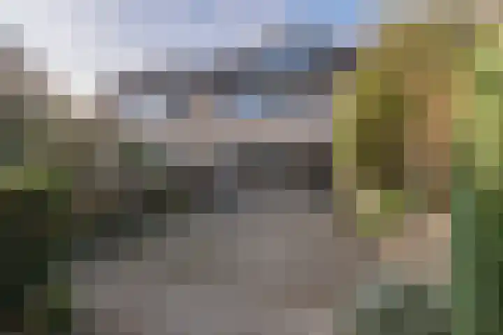 Scholekster 28 Eemnes thumbnail 36