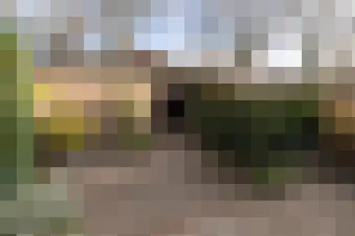 Scholekster 28 Eemnes thumbnail 37