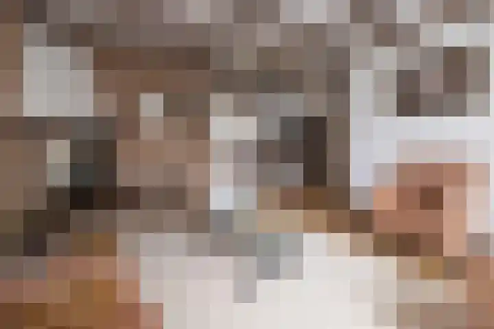 Scholekster 28 Eemnes thumbnail 5