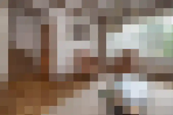 Scholekster 28 Eemnes thumbnail 6
