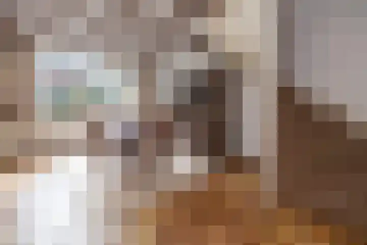 Scholekster 28 Eemnes thumbnail 7
