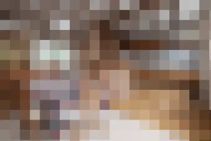 Scholekster 28 Eemnes thumbnail 8