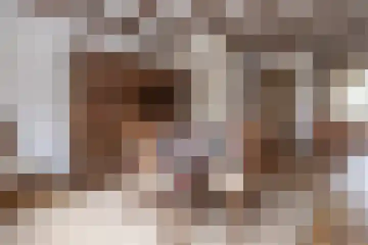 Scholekster 28 Eemnes thumbnail 9