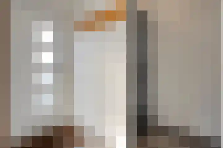 Scholekster 41 Ommen thumbnail 12