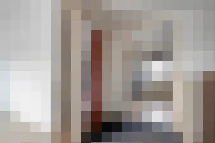Scholekster 41 Ommen thumbnail 15