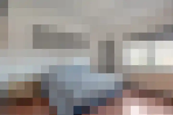 Scholekster 41 Ommen thumbnail 16