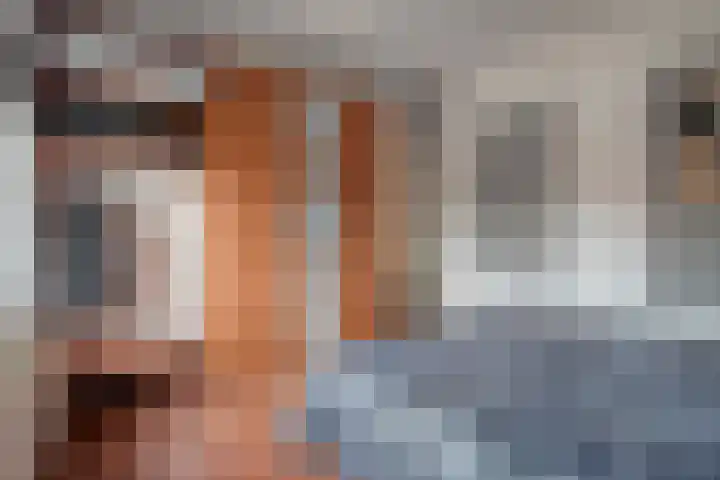 Scholekster 41 Ommen thumbnail 17