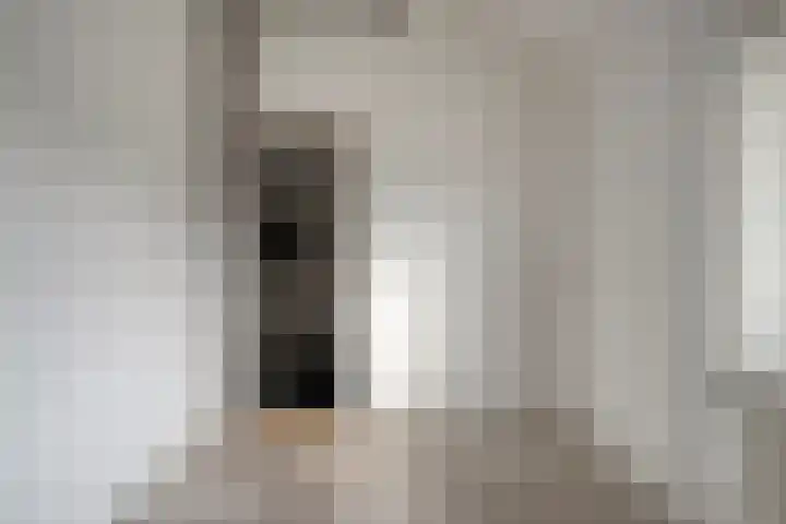 Scholekster 41 Ommen thumbnail 19