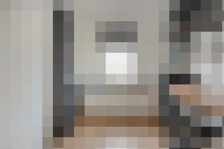 Scholekster 41 Ommen thumbnail 20
