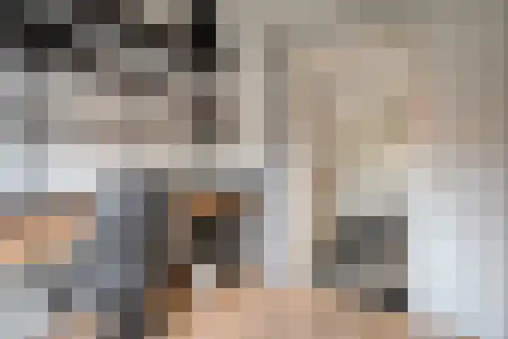Scholekster 41 Ommen thumbnail 21