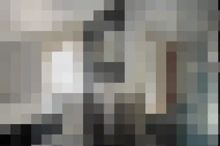 Scholekster 41 Ommen thumbnail 23