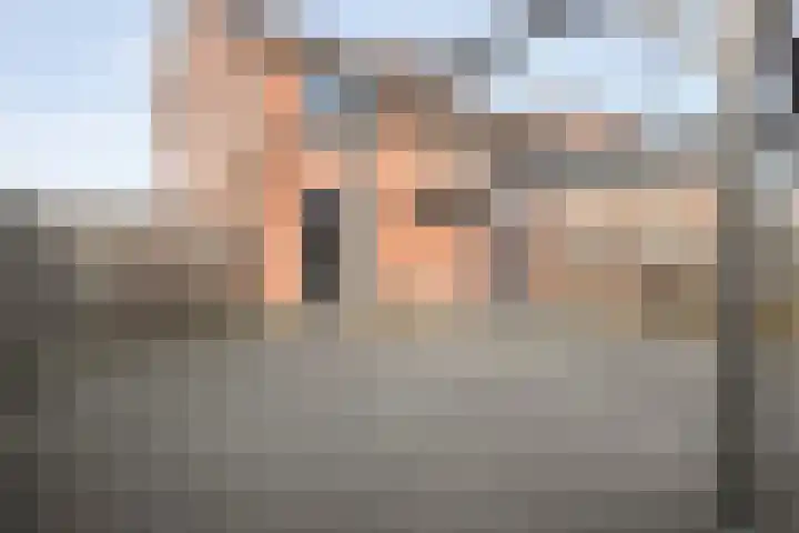 Scholekster 41 Ommen thumbnail 25
