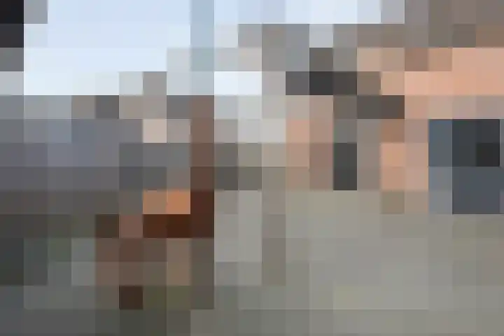 Scholekster 41 Ommen thumbnail 27