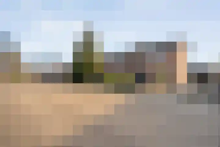 Scholekster 41 Ommen thumbnail 29