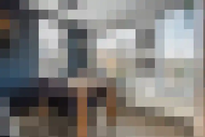 Scholekster 41 Ommen thumbnail 4