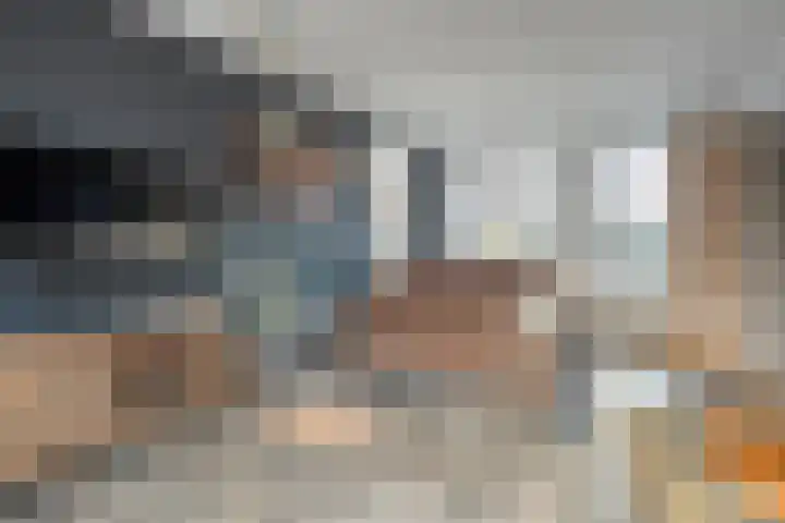 Scholekster 41 Ommen thumbnail 7