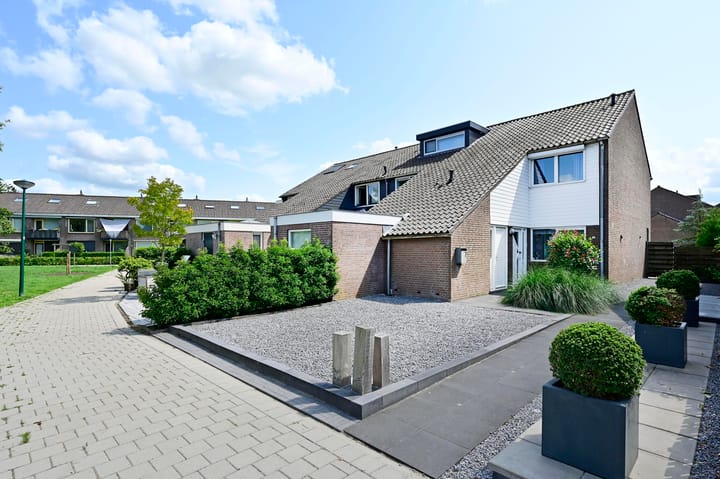 Scholekster 7 in Kockengen foto