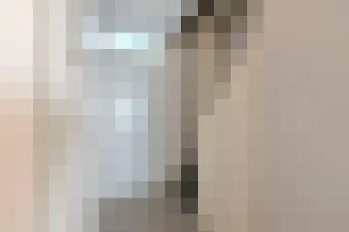 Scholekster 7 Kockengen thumbnail 11