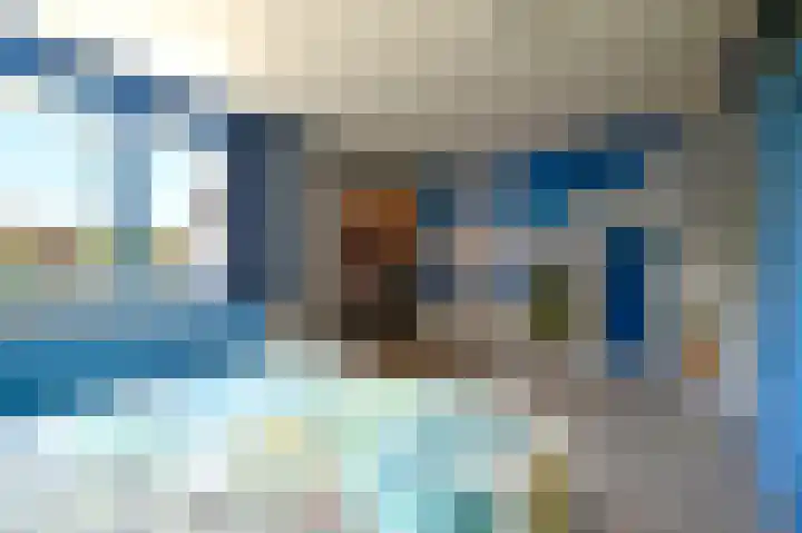 Scholekster 7 Kockengen thumbnail 15