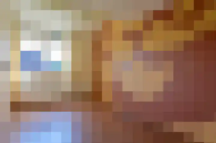 Scholekster 7 Kockengen thumbnail 16
