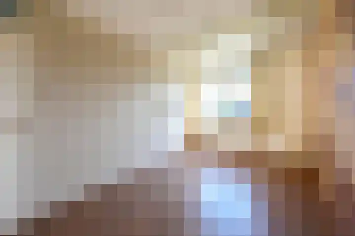 Scholekster 7 Kockengen thumbnail 17