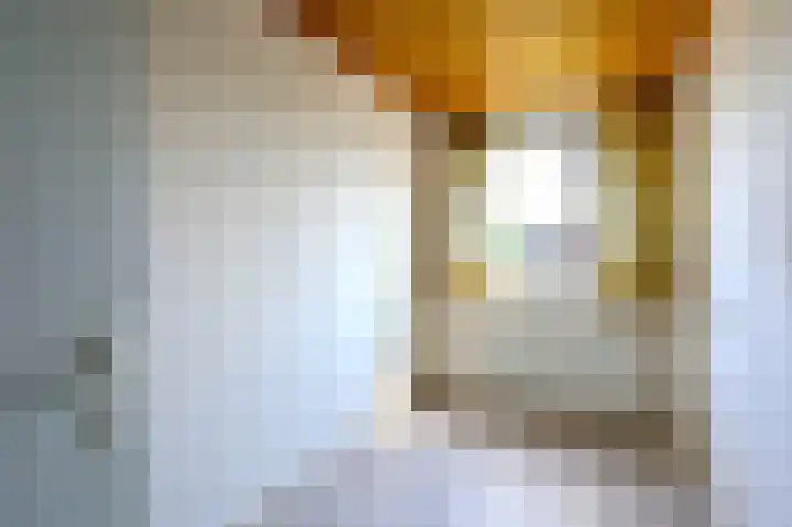 Scholekster 7 Kockengen thumbnail 18