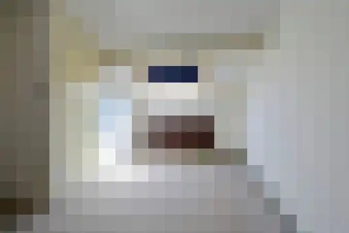 Scholekster 7 Kockengen thumbnail 19