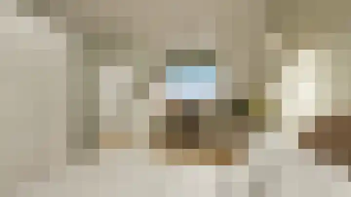 Scholekster 7 Kockengen thumbnail 20
