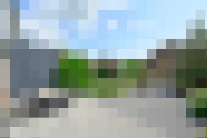 Scholekster 7 Kockengen thumbnail 22