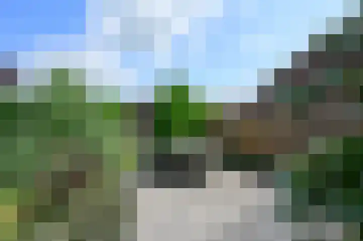 Scholekster 7 Kockengen thumbnail 23