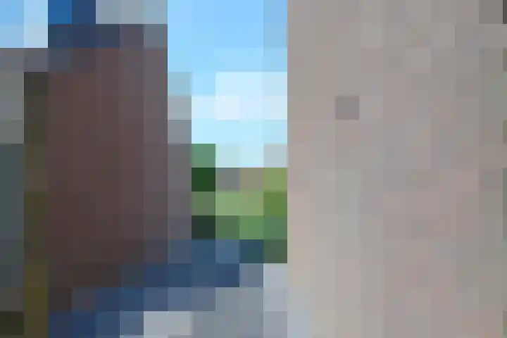 Scholekster 7 Kockengen thumbnail 24